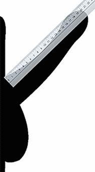 Esquema de un pene erecto con una regla para medir su longitud